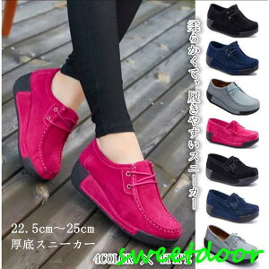 Xj[J[ C Cq[ nCJbg EH[LOV[Y rfB[X JWAV[Y@₷ tH