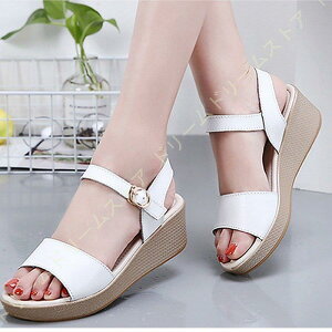 T_ fB[X RtH[gT_  T_ Vv V[Y  r[`T_ t@bVT_ n X|[cT_