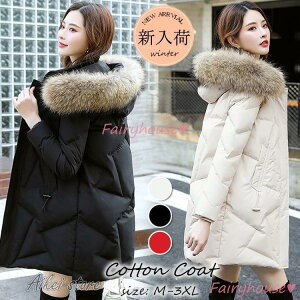 ȃR[g fB[X y LeBOR[g ȃWPbg ~fBA ~ IV t[hGRt@[t h h JWA AE^[