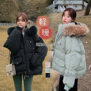 ȃ_ER[g  ȃR[g  fB[X t[ht ȃWPbg ̌^Jo[ g AE^[ H~  ʋ ʊw h