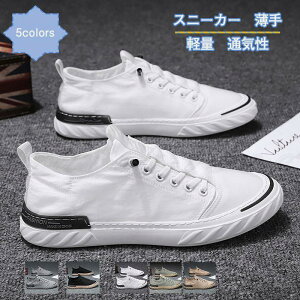 Xj[J[ Y Xb| y  ʋC C LoX JWA X|[c ₷ ₷ AEghA 21NĐV 