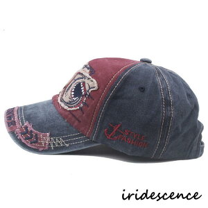 Lbv x[X{[Lv Xq hJ _[W BBLbv 싅X Y fB[X Xg[gn t  H