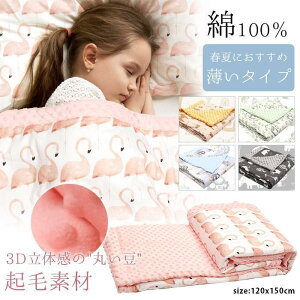 |zc xr[ uPbg 唻 120×150 ^Cv Ȗѕz LbY n[tTCY Rbg Ԃ ѕz Ђ| | G t 