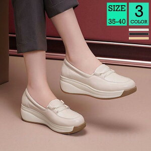 fB[X Xj[J[ C V[Y JWA ₷  Vv 