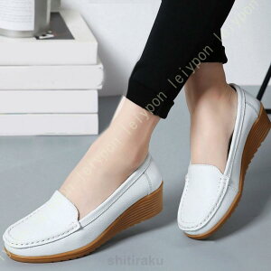 fB[X JV [t@[ EFbW\[ ʋC H Xb| ₷ }}V[Y  RtH[g L JWA t ₷