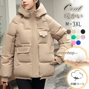 ȃWPbg fB[X ȃR[g _EWPbg V[g t[ht h g   h n   ؍