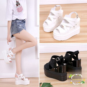 u[cT_ T_ fB[X Xj[J[T_ T_Xj[J[ V[X[ T_  p[eB[ ؍t@bV 