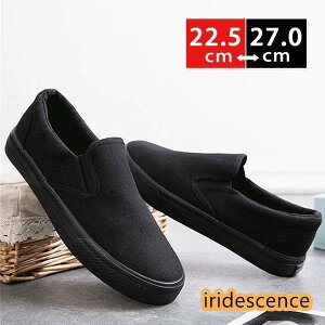 Xj[J[ V[Y yAV[Y C amC JWAV[Y X|[c  n 傫TCY  RȂ IbNXtH[h z ʊw