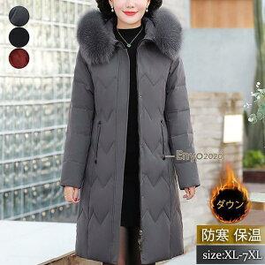 _ER[g fB[X O AE^[ AC t[ht  t@[t 傫TCY  g h h ʋ ~ LC