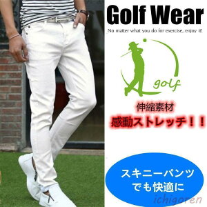 StEGA XLj[pc Y Xgb`pc  t  H 傫TCY fj W[Y Lk אg /zCg