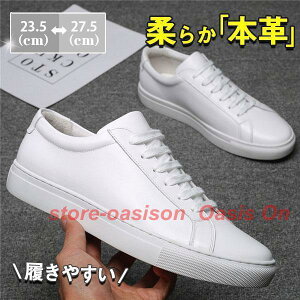 IbNXtH[hV[Y Y JWA v EH[LO C {v Xj[J[ AEghA ʊw ʋ zCg  am  t H