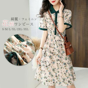 ԕs[X s[X   t ꂢ ԕ G X^_[hJ[ fB[X t  ̌^Jo[ 傫TCY 