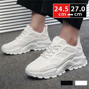 Xj[J[ V[Y Y C amC JWAV[Y X|[c  傫TCY  EH[LO bV ₷ y ^C