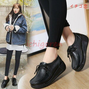 Xj[J[ C fB[X EH[LOV[Y C [Jbg r 傫TCY JWA ʋ ɂȂ _炩 ₷ HV