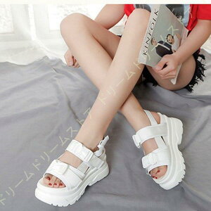 T_ fB[X Xj[J[T_ T_Xj[J[ X|[cT_  ؍ t@bV X|T 7cm gAbv 傫TCY Ȃ