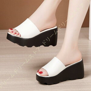  T_ fB[X EFbWq[ ~[ rT_ T_ I[vgD T{ EFbW nCq[ q[ 8cm y  EFbWT_