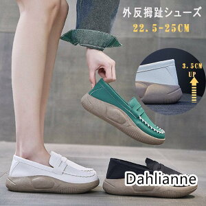 Xb| C nCJbg  Xb| L K V[Y fB[X ꂷۂ pvX nCJbg O