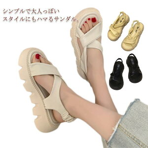 q[ fB[X T_  XgbvT_  xg r EhgD ₷ 24cm  ItBX Vv x[W