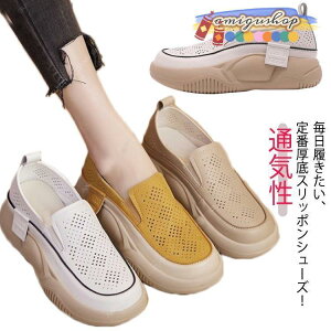 Xj[J[ O fB[X }^jeBV[Y t  Xb| Xj[J[ V[Y ʋC JWAV[Y }}V[