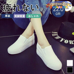 Xb| fB[X V[Y LoX x[VbN Vv  Xj[J[ Cq[ 3040 50 