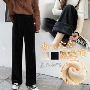 Chpc fB[X xA^b` N {A KE`pc KE` {gX EGXgS Opc ̌^Jo[ ʋ