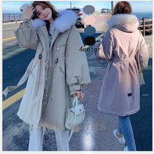 _ER[g ~ OR[g i _E fB[X t@[R[g hQ t[ht AE^[   g  t@[t