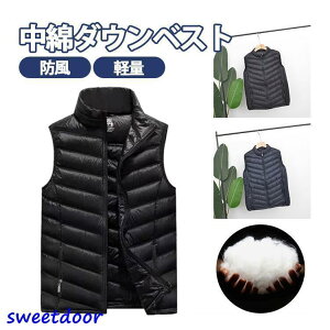 ȃ_ExXg Y `bL St Eg h H~t Ȃ W Ci[ y h  yoR jp