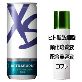 ハッピーホワイトデーコフレ 送料込 アムウェイ XS エナジードリンク エクストラバーン ブルーベリーライム(250mL×6本) ヒト脂肪細胞美容液コフレ＜2503350056454＞