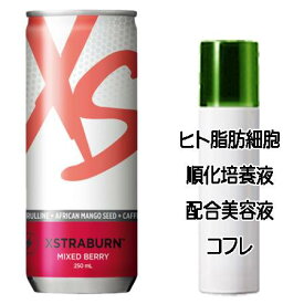 ハッピーホワイトデーコフレ 送料込 アムウェイ XS エナジードリンク エクストラバーン ミックスベリー(250mL×24本) ヒト脂肪細胞美容液コフレ＜2503350054153＞