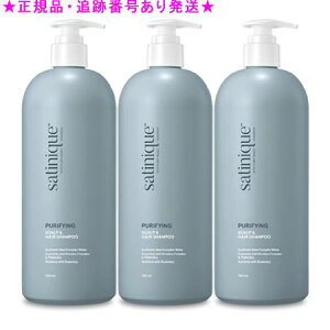 Amway AEFC Tej[N tB[N[ Vv[ inPAj 750mL 3Zbg