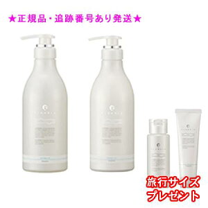 FLOWDIA t[fBA Vv[ XvOtgag[gg XvOtgb 550mL/500g v[gt