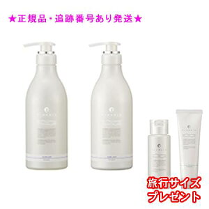 FLOWDIA t[fBA Vv[ X[NCgag[gg X[NCgb 550mL/500g v[gt