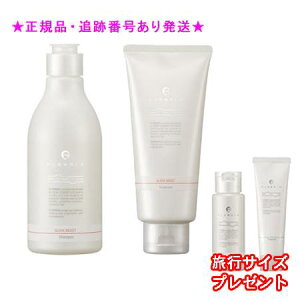 FLOWDIA t[fBA Vv[ X[NCXgag[gg X[NCXgb 250mL/200g v[gt