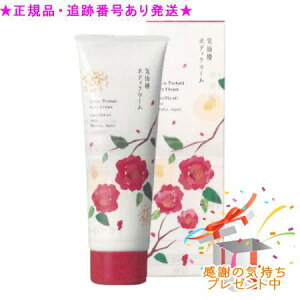 HOLLYWOOD nEbh C {fBN[N(120g) v[gt