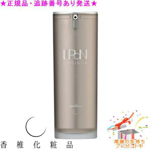 CATHY JV[ |C116 X|bgX 17g v[gt