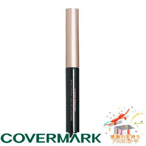 COVERMARK �J�o�[�}�[�N ���A���t�B�j�b�V�� ���L�b�h �A�C���C�i�[ �u���b�N