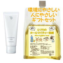 楽天市場】リス マジェスタ wクレンジング フォームの通販