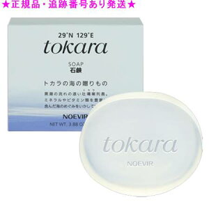 NOEVIR mGrA gJ̊C̐Ό 110g