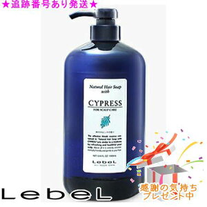 LebeL ���x�� �i�`�������w�A�\�[�v �E�B�Y CYd ��򕔊O�i 1000ml �v���[���g�t