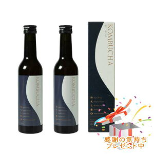 Tree of life ̖ KOMBUCHA`Ru`GbZX` 300mL 2Zbg v[gt