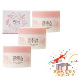 Tree of life ̖ VAo^[ ~L[o^[N[ 90g 3Zbg@ v[gt