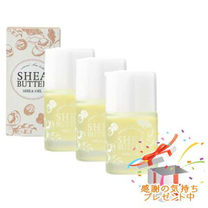 Tree of life ̖ VAo^[ VAIC 22mL 3Zbg v[gt
