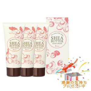 Tree of life ̖ VAo^[ nhN[ [Y 60g 3Zbg@ v[gt@O܂肽ޏꍇ