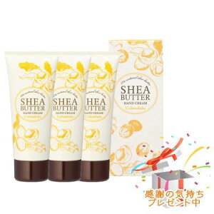 Tree of life ̖ VAo^[ nhN[ Jf 60g 3Zbg@ v[gt@O܂肽ޏꍇ