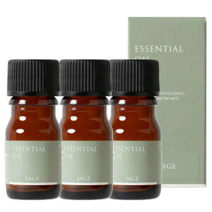 Tree of life ̖ GbZVIC Z[W  3mL 3Zbg O܂肽ł