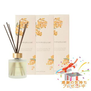 Tree of life ̖ ؍ [hfBt[U[ 120ml 3Zbg v[gt
