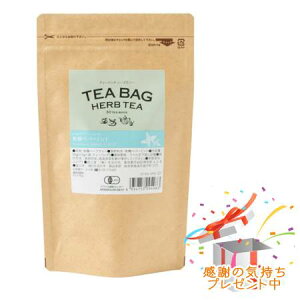 Tree of life ̖ eB[obOn[ueB[ L@ yp[~g 30 3Zbg@ v[gt