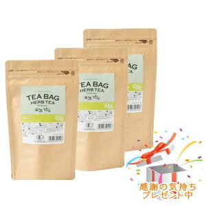 Tree of life ̖ eB[obOn[ueB[ L@ K 30 3Zbg@ v[gt