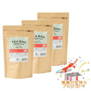 Tree of life ̖ eB[obOn[ueB[ L@ [Yqbv 30 3Zbg@ v[gt