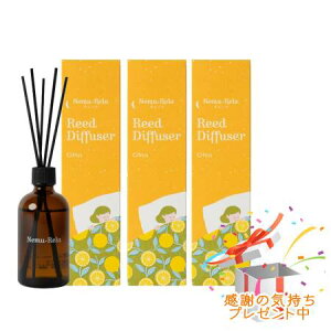 Tree of life ̖ l [hfBt[U[ VgX 100mL 3Zbg@ v[gt
